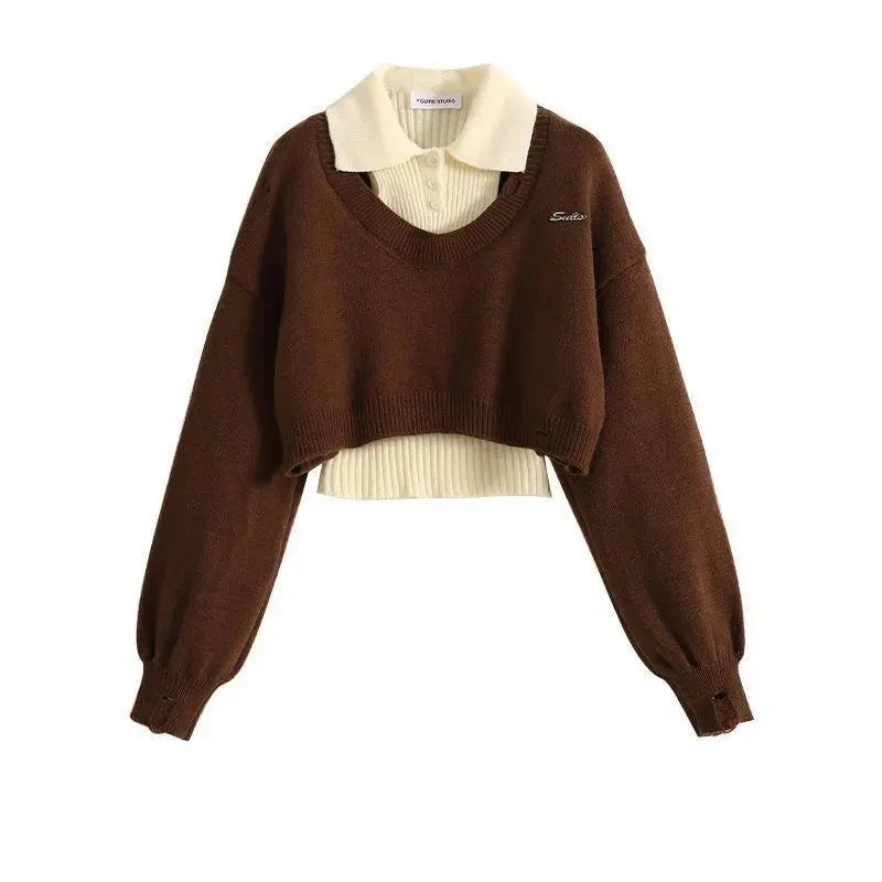 Women's Two-Piece Knit Sweater & Vest Set